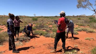 Sebastian Williams, Shonte Thomas, Austin Patch, Duran Patch and Tremaine Anderson setting up a camera to monitor cats and foxes.
