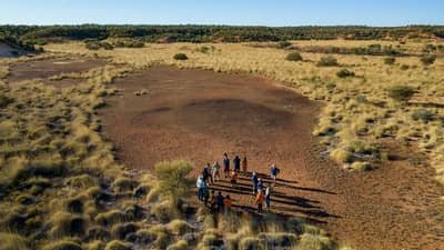 Pullen Pullen Night Parrot workshop.