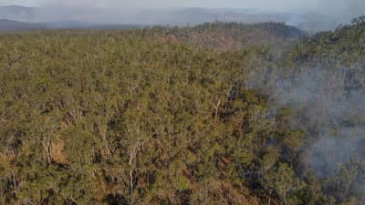 Effective management of fuel loads helped protect Yourka Reserve, Jirrbal and Warrungu Country, QLD. Photo: Alistair Hartley.