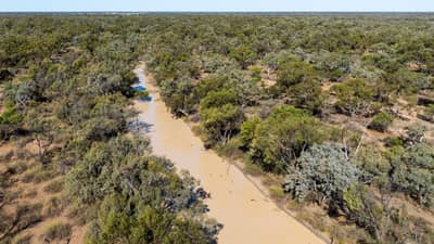 The Cuttaburra Creek runs between Naree and Nil Desperandum.