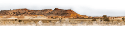 Bush Heritage footer image